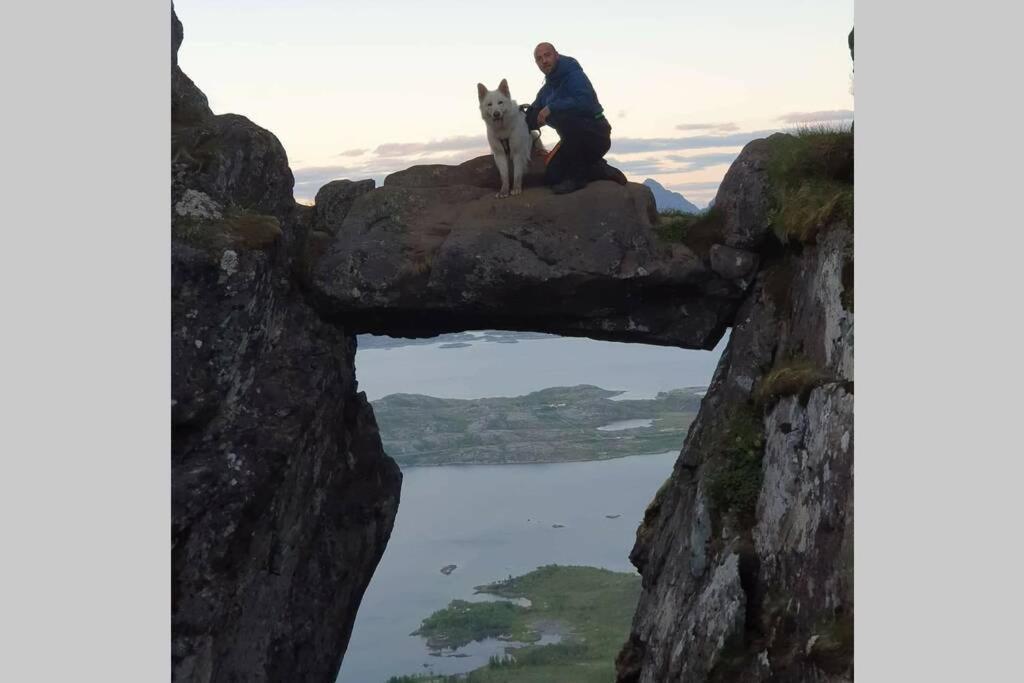 Nydelig Hytte I Kabelvag Lofoten Exteriör bild