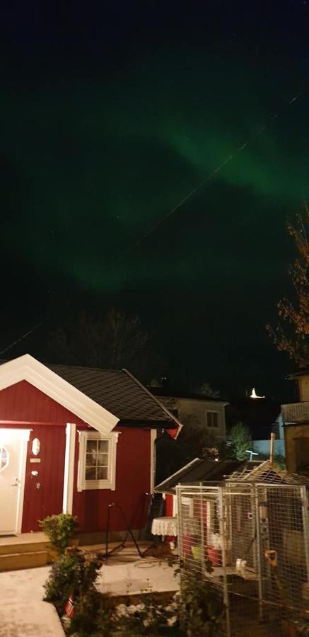 Nydelig Hytte I Kabelvag Lofoten Exteriör bild