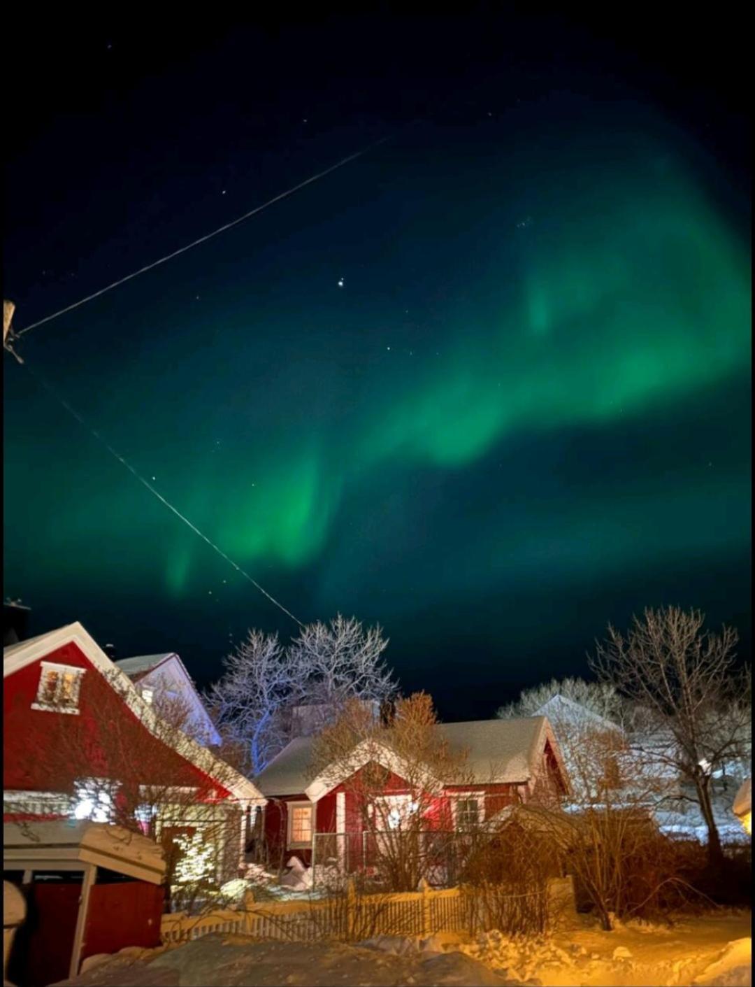Nydelig Hytte I Kabelvag Lofoten Exteriör bild